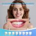 Bande Blanchiment Dentaire 21 Jours (42 Bandes) Bande Blanchissante Dent avec Formule au Coco Naturel Whitening Strip pour Blanchiment des Dent Dent Blanche & Antid rapantes - Buy Online on GoSupps.com