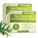 Roycederm Tea Tree Oil Soap 4 Bars - Helps Face & Body Acne Athlete's Foot Tinea Folliculitis Ringworm Jock Itch
