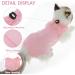 cobee Cat Professional Recovery Suit for Abdominal Wounds or Skin Diseases Kitten Surgery Recovery Suit E-Collar Alternative for Cats After Surgery Wear Pajama Suit (M Size Pink) - Buy Online on GoSupps.com