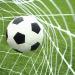 Soccer Goal Net 24x8FT-2.5mm Polyethylene Training Nets | Full Size | Post Not Included - Buy Online on GoSupps.com