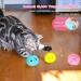 Interactive Cat Balls with Sound - 3 Pieces of Plush Toys for Kittens | Extfans - Buy Online on GoSupps.com