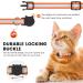 Buy Reflective Airtag Cat Neck Band - Integrated Necklace with Holder & Bell - Safety Buckle for Kittens & Puppies - Orange - Buy Online on GoSupps.com