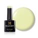 Bluesky Gel Nail Polish Spring 2021 Collection Allegro Ss2101 10 ml Pastel Nude Yellow Green (Requires Curing Under LED or UV Lamp)