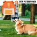 Zonewd Dog Hiking Backpack | Waterproof School Bag for Puppies | Double D-Ring Design for Samoyede & Golden Retriever - Orange - Buy Online on GoSupps.com