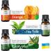 Essential Oils for Diffusers - Set of 6 Tea Tree, Rosemary, Lavender, Peppermint, Orange, Eucalyptus - Perfect Starter Gift Kit - Buy Online on GoSupps.com
