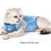 Lianzimau Katzenbody Medical Cat Suit for Post-Op Recovery | Blue Anti-Losing Body for Cats | Comfortable & Safe Clothing for Cats After Surgery - Buy Online on GoSupps.com
