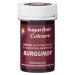 Sugarflair Burgundy Spectral Food Colouring Paste Highly Concentrated for Use with Sugar Pastes Buttercream Royal Icing or Cake Mix Vibrant Colour Dye - 25g