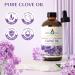 EVOKE OCCU Lemongrass Essential Oil and Clove Essential Oil - 4 Fl Oz - Buy Online on GoSupps.com