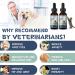 Organic Hemp Oil for Dogs Pet Oil - Buy Online on GoSupps.com