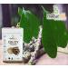 NENA Pack of 2 Tulsi Powder Giloy Powder (200 GM Each) Combo Pack 400 GM - Buy Online on GoSupps.com