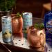 Folkington's Ginger Beer 12 x 250ml Cans - Premium Sparkling Soft Drink and Perfect Gin Mixer - Buy Online on GoSupps.com