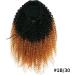 Ponytail Extension Afro Puff Drawstring Ponytail Extension 14-22 Afro Kinky Curly Human Hair Pony Tail for Black Women #1B/30 Remy Hair Drawstring Ponytail Hair Pieces Ponytail Hairpiece for Women ( 14inches - Buy Online on GoSupps.com