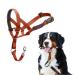Halti head harness-prevents your dog from pulling on a leash simple adaptation light with padded nose strap anti-train neck band for large dogs (size 4 dark orange) dark orange 4