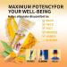 Lot de 2 pommades Bee Venom Ointment pommade la cire d'abeille cr me pour les articulations avec venin d'abeille et curcuma cr me d'abeille pommade venin d'abeille gel de curcuma pour soulager - Buy Online on GoSupps.com