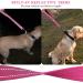 Vivaglory Short Dog Leash 46cm - Pink Traffic Leash for Medium & Large Dogs | Durable Training Line - Buy Online on GoSupps.com