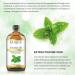 Peppermint essential oil (4 oz/118 ml) Pure Essential Oil - with Glass Dropper Great for Aromatherapy Diffuser Candle Making - Buy Online on GoSupps.com