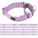 Mikivery Violet Martingale Dog Collar | Adjustable Safety Choke Training Collar for Medium & Large Dogs M 35.5cm-53cm - Buy Online on GoSupps.com