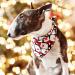 Suoxu Dog Christmas Bandana & Party Hat Set | Triangle Scarf & Festive Outfit for Dogs | Santa Claus Snowflake Design | Ideal Holiday Gift & Decoration - Buy Online on GoSupps.com