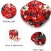 Anna Cowper Red Black Ladybugs Flowers Menstrual Cup Pouch - Portable Period Bag for Women/Girls | Multi-Colored Sanitary Napkin Storage Case - Buy Online on GoSupps.com