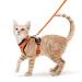 Rabbitgoo cat dishes with a leash breakproof cat leash kitten puppy harness adjustable Cat harness soft breast dishes for cats small dog rabbits reflective patrol orange s s (1 Pack) orange