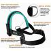 ILEPARK Adjustable Nylon Dog Muzzle - Stop Biting Barking & Chewing | XXL Green | International Shipping - Buy Online on GoSupps.com