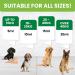Tummy Relief for Dogs - Fast-Acting Diarrhea Treatment & Stomach Settler - Gut Health Supplement - Liquid Medicine for Upset Stomach - 250ml - Buy Online on GoSupps.com