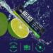 Ballast Zero-Sugar Electrolytes - Citrus Lime Hydration Powder | Keto-Friendly Daily IV | Rapid Rehydration | Element Magnesium Sodium & Potassium - 30 Count - Buy Online on GoSupps.com