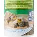 Tetra Reptomine Baby Turtle Food - Optimal Sticks for Young Turtles (2 Pack 250ml) - Premium International Shipping - Buy Online on GoSupps.com