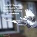 Aviform ULTIMATE Max NEW FORMULA Complete Supplement for Racing Pigeons 2500ml - Buy Online on GoSupps.com