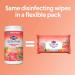 Clorox Scentiva Disinfecting Wipes Value Pack - 6 Pack (3x 75ct Pacific Breeze & Coconut, 3x 75ct Tahitian Grapefruit Splash) - Buy Online on GoSupps.com
