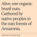 Organic Brazil Nut Butter - Fresh & Raw | Living Tree Community Foods | 16oz Jar | Small Batch, Always Fresh - Buy Online on GoSupps.com