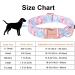 Unique Style Paws Summer Dog Collar - Blue College Design with Pink Flower - Perfect for Small to Large Dogs - Great Gift Idea! - Buy Online on GoSupps.com