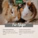 Aniforte Nature Rodent Food 4.5kg | Healthy Species-Appropriate Diet for Hamsters Guinea Pigs & Rabbits - No Artificial Additives - Buy Online on GoSupps.com