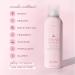 Drybar Final Call Frizz & Static Control Mist | Fights Frizz Tames Flyaways to Maintain Smooth and Shiny Blowouts 24 Hour Frizz Control & 72 Hour Static Control Coconut Colada Scent 5 Ounce (Pack of 1) - Buy Online on GoSupps.com