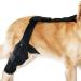 Dog ACL Knee Brace - Brace Behind Leg - Rear Leg Stabilizer for Small Dogs Neoprene Hip Brace with Adjustable Traction Belt for Cruciate Ligament Injury Joint M right - Buy Online on GoSupps.com