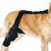 Rear Leg Braces For Small Dogs - Professional Knee Support Brace - Neoprene Hip Brace Support Dog Knee Brace Adjustable Traction Belt For Cruciate Ligame For Cruciate Ligament Injury For Torn ACL Leg M right