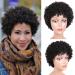 Ifly afro wig Brazilian Human Wig Curly Wig Real Hair Wige Human Hair Wigs for Black Women Short Afro Kinky Curly Human Hair Wig 6 inches