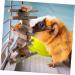 INOOMP Oral Biting Playthings Wooden Pet Chewing Balls Bunny Treats Comforting Teething Toy - Buy Online on GoSupps.com