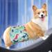 Czemo Washable Dog Diapers for Male & Female Dogs | Reusable Incontinence Pads | Pack of 3 - Ultimate Comfort & Protection - Buy Online on GoSupps.com