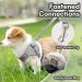 Escape Proof Cat Harness and Lead Set Soft Mesh Puppy Harness Adjustable Soft Cat Walking Jackets Breathable Cat Leash Comfortable Kitten Harness for Large Medium Small Pets Walking Grey(XS) - Buy Online on GoSupps.com