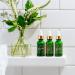 Tree of Life Skin Care Set | Brightening Firming Hydrating | Vitamin C Niacinamide & Pro Collagen Peptide Serums | Dermatologist Tested - Buy Online on GoSupps.com