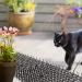 Cat Scat Mat 78inch Cat Repellent Outdoor Cat Deterrent Devices Spikes Mat Include 8 Garden Staples for Garden Fence Anti-Cats Network Bird Squirrel Raccoon Spikes 1 PCS - Buy Online on GoSupps.com