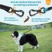 Aystkniet Bungee Drag Line for Dogs - Shock-Absorbing Leash with Padded Handle & Reflective Threads | 3m 5m 10m 15m 20m 30m Options | Ideal for Medium & Large Dogs - Blue - Buy Online on GoSupps.com