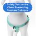 Pawtitas Reflective Step in Dog Harness - Control Walking of Your Puppy - Teal - Small/Medium/Large Harness - Buy Online on GoSupps.com