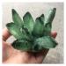1 pcs Beautiful Green Ghost Phantom Quartz Crystal Cluster Rock Stones Crystals Reiki Specimen Minerals Reiki Decoration Full of Texture 400-500g