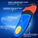 DACAT Plantar Fasciitis Insoles High Arch Support for Men & Women Orthotic Inserts for Heel Pain & Flat Feet Comfortable Work Boot Insoles Blue (Mens 7-7.5 / Womens 9-9.5 - Buy Online on GoSupps.com
