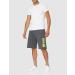 Buy Borussia Dortmund Unisex Shorts - BVB Adult Grey Shorts | International Shipping Available - Buy Online on GoSupps.com