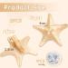 Nayyana 2 Pieces Starfish Hair Clips Body Face Mermaid Costume for Women and Girls Adults 3 in 1 Accessories for Little Mermaid - Buy Online on GoSupps.com