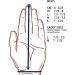 CaddyDaddy Claw Pro Men's Golf Glove - Breathable & Long Lasting - Grey, Size Large, Left Hand - Buy Online on GoSupps.com