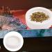 JNAWA 2 Pieces Worm Dish Mini Reptile Food Bowl White Ceramic Reptile Round Feed Bowl Ceramic Water Bowl for Geckos Frogs Lizards Chameleons - Buy Online on GoSupps.com